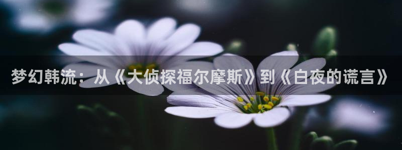 age动漫的：梦幻韩流：从《大侦探福尔摩斯》到《白夜的谎言》