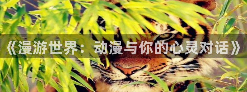 age动漫》：《漫游世界：动漫与你的心灵对话》