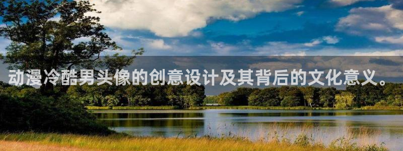 age动漫最新网址：动漫冷酷男头像的创意设计及其背后的文化意义。